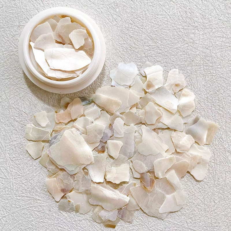 Ultra-thin natural shell pieces Shell nail parts Sold in a case